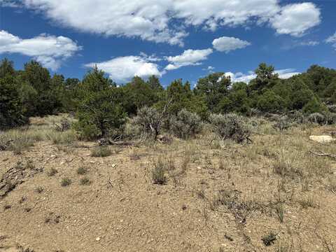 Talavera SD lot: 34 Unit 4, Tierra Amarilla, NM 87575