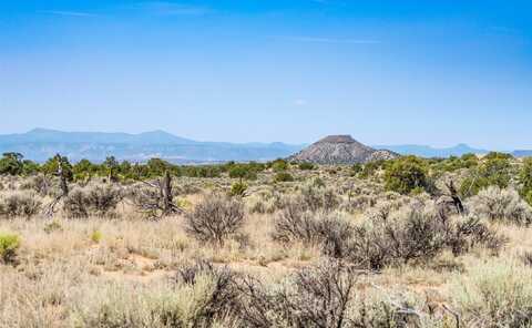 60 acres near 39524 Hwy 285, Ojo Caliente, NM 87549