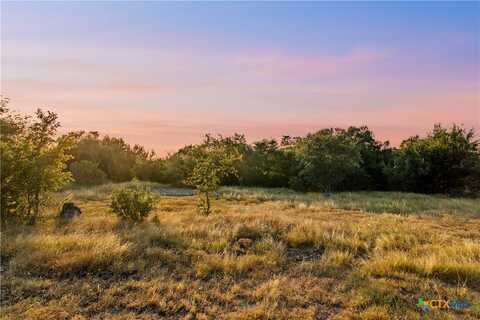 322 Lookout Ridge, New Braunfels, TX 78132