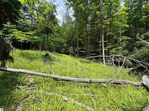 Lot #5 E Bellinger Road, Cedar, MI 49621