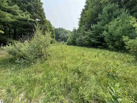 Lot #4 E Bellinger Road, Cedar, MI 49621