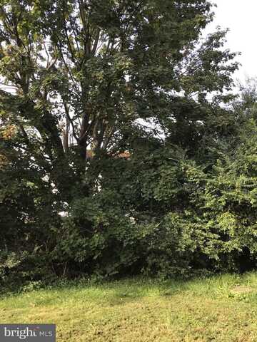1065 FILBERT STREET, STEPHENS CITY, VA 22655