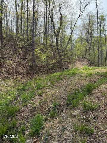 0 Pine Mountain Road, Rogersville, TN 37857