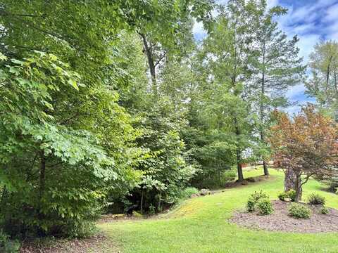 lot 30 Rock Island, BUTLER, TN 37640