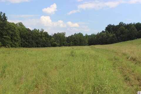 000 E Hwy 62, Kuttawa, KY 42055