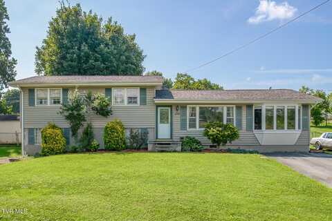 256 Elm Lane, Bluff City, TN 37618