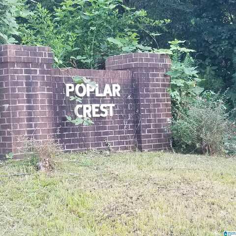 13100 Hwy 174 POPLAR DRIVE, ODENVILLE, AL 35120