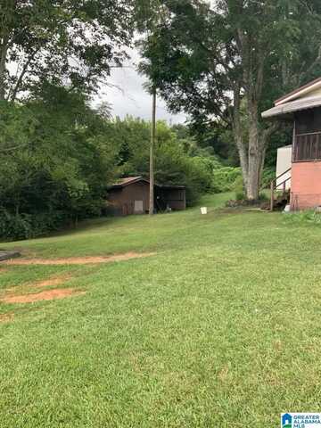 185 LOUIS STREET, ODENVILLE, AL 35120
