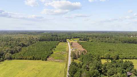 Multiple Lots Black Creek Rd., Nichols, SC 29581