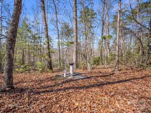 Forester Lane unit: 21, Mill Spring, NC 28756