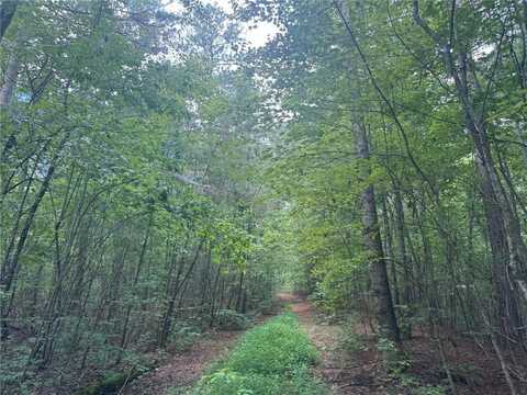 00 Tanner Hall Road, Dawsonville, GA 30534