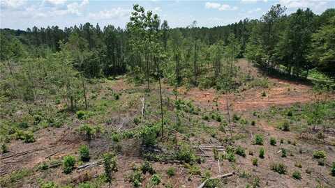 00 Little Mountain, Dawsonville, GA 30534
