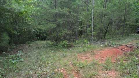 00 Little Mountain, Dawsonville, GA 30534