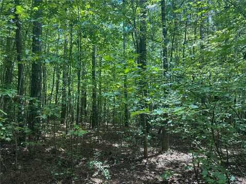 00 Tanner Hall Road, Dawsonville, GA 30534