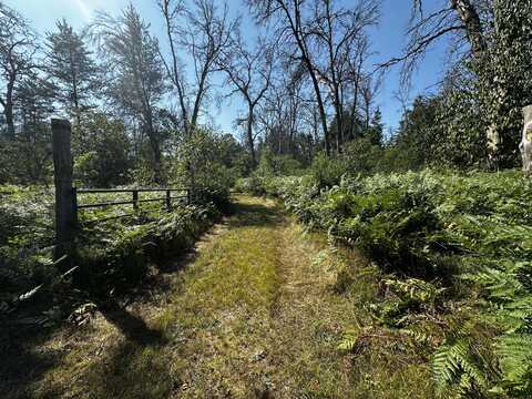 1509 E 10 Mile Road, Irons, MI 49644