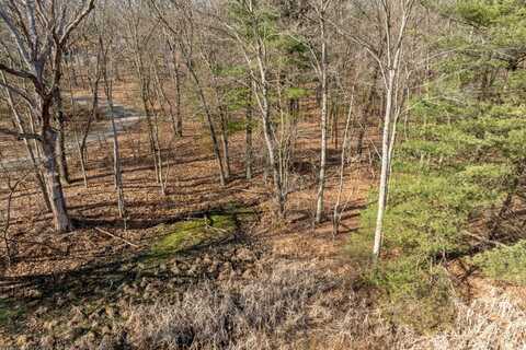8965 Vergennes Street SE, Ada, MI 49301