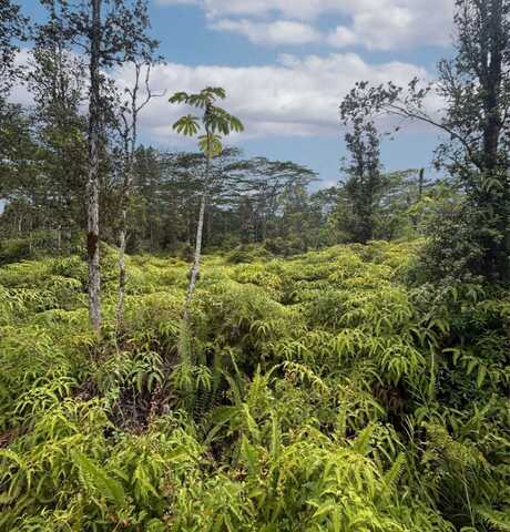GINGER RD, Pahoa, HI 96778
