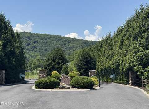 River Rapids Way, Del Rio, TN 37727