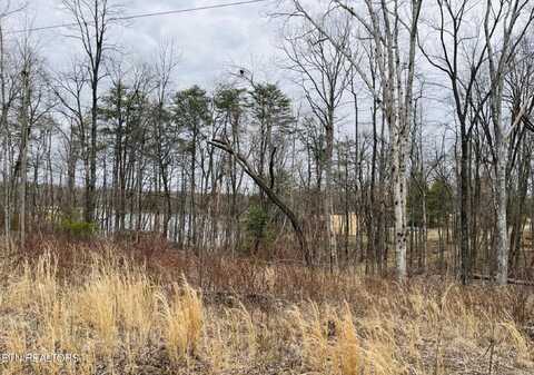 3 Tresa St, Crossville, TN 38572