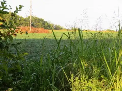 7850 Veterans Memorial Parkway, Winchester, KY 40391