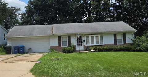 10043 Lilac Avenue, Riverview, MO 63137