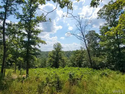 0ff County Road 118, Annapolis, MO 63620