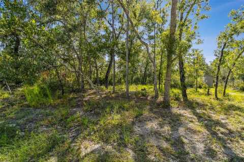 00 MAYBIRD AVENUE, WEEKI WACHEE, FL 34613