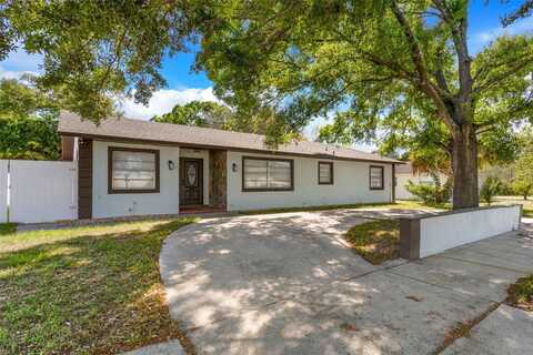 4420 W CARMEN STREET, TAMPA, FL 33609