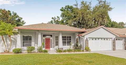 12221 ANNE KENIA DRIVE, THONOTOSASSA, FL 33592