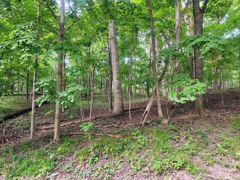Lot 1806 Tanglewood Drive, Varna, IL 61375