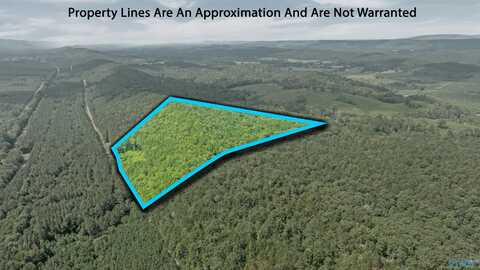 10 County Road 759, Valley Head, AL 35989