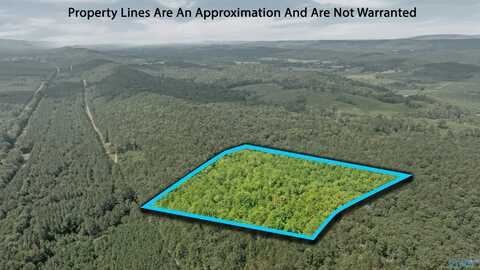 15 County Road 759, Valley Head, AL 35989