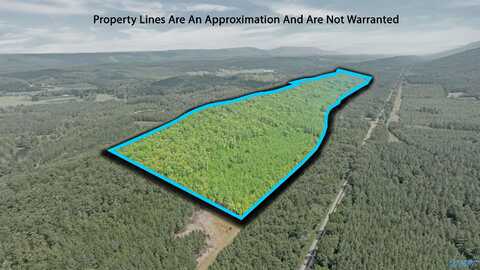 13 County Road 759, Valley Head, AL 35989