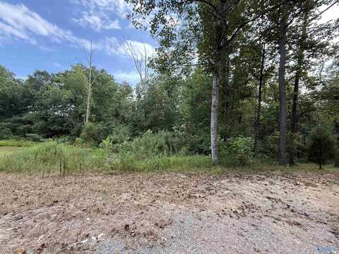 0.66ac County Road 1606, Cullman, AL 35058