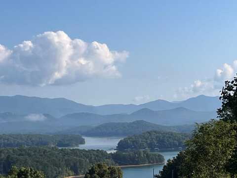 Lot 12 Forest View Drive, Hiawassee, GA 30546