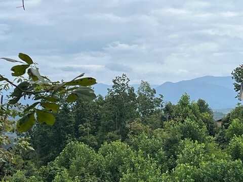 Lot 12 Forest View Drive, Hiawassee, GA 30546