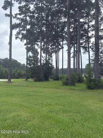 2808 Waterleaf Point, New Bern, NC 28562