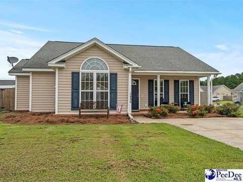 2900 Cross Vine Drive, Effingham, SC 29541