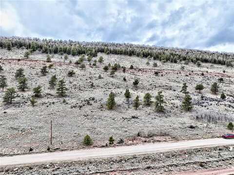 3481 REDHILL ROAD, Fairplay, CO 80440