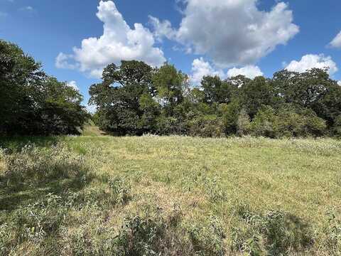 TBD County Road 227, Caldwell, TX 77836