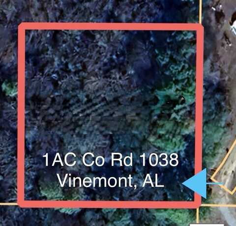 1AC Co Rd 1038, Vinemont, AL 35179