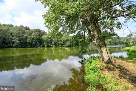 24316 AUCTION ROAD, PRESTON, MD 21655