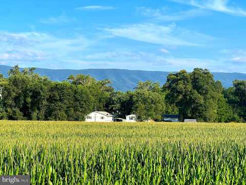 550 & 560 ROHRBAUGH LANE, MOOREFIELD, WV 26836