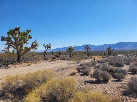 26476 N Tamarisk Street, Meadview, AZ 86444