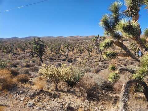 N Tamarisk & Rainbow, Meadview, AZ 86444