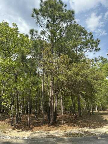 508 Estevao Lane SE, Bolivia, NC 28422