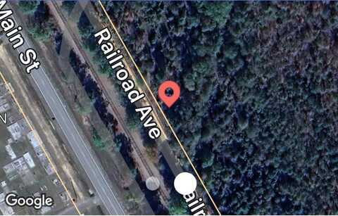 95 Railroad, Tarrytown, GA 30470