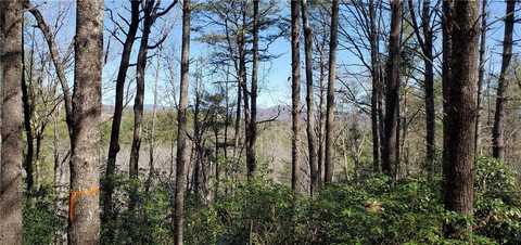 116 Sweetshrub Way, Sunset, SC 29685