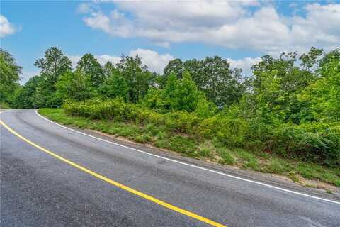 Foggy Cut Lane, Landrum, SC 29356