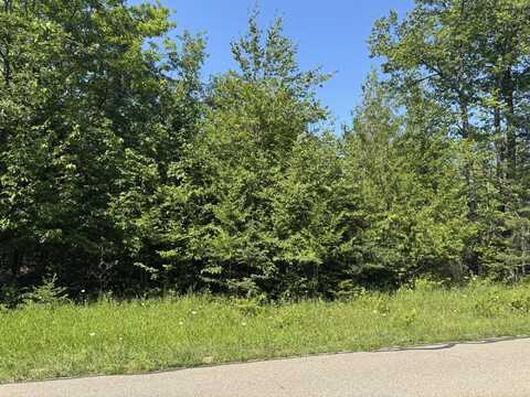 1522 Trails End Road, Mackinaw City, MI 49701
